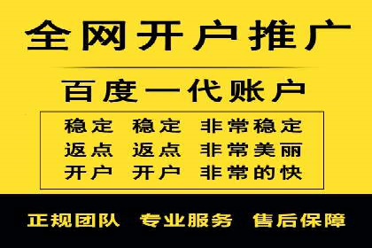 某行业SEM竞价策略的运营实践与效果